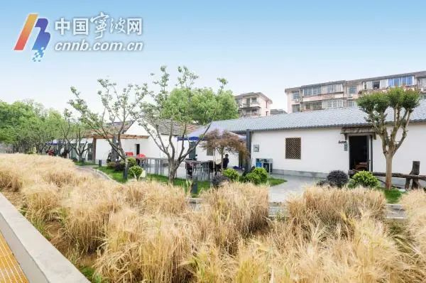 鹂西走廊二期。郑瑶 王博/摄