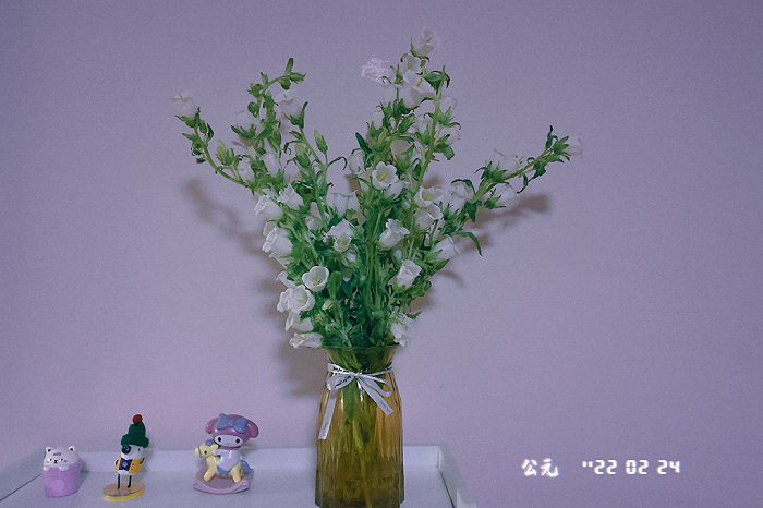 （图 / 林夕购买的鲜花）