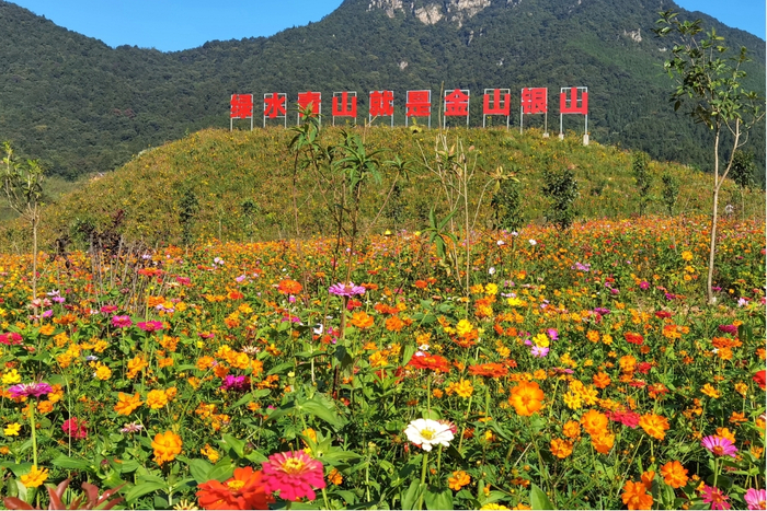 &nbsp;广晟集团所属大宝山矿开展绿色矿山整治后复垦复绿的成效