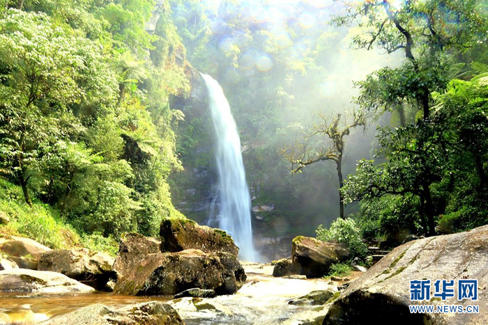 红河蝴蝶谷马鞍底拉灯瀑布群二级瀑布（2020年5月摄）。高飞摄