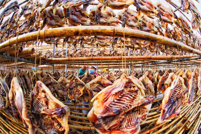 村民晒的腊鸭。童铜韶 摄