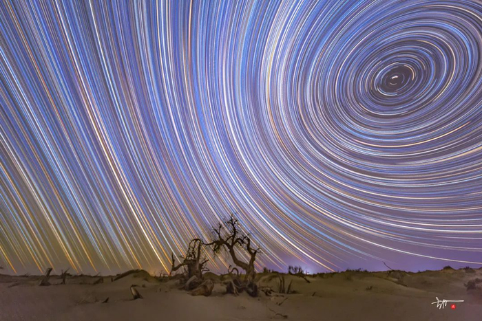 2021年中国最美星空的入选作品：千年的胡杨与万古星空的对话，胡革非摄