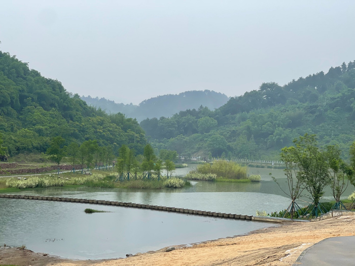 农发行重庆市北碚支行信贷支持的缙云山保护区生态整治