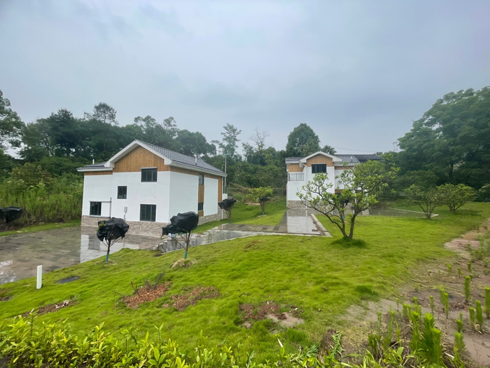 柏林村人居环境建设