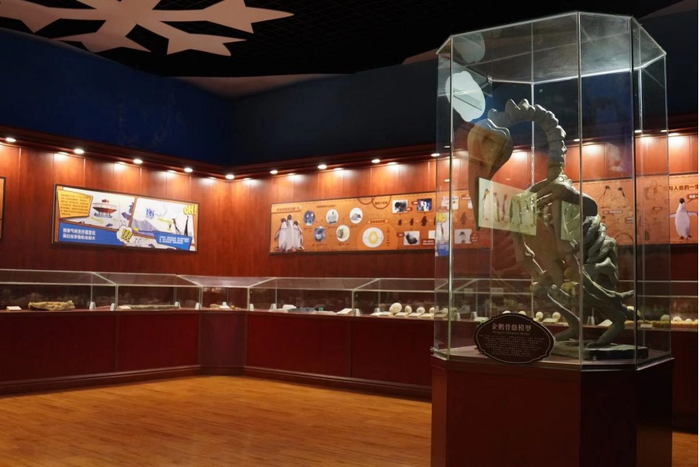 　　图：企鹅博物馆