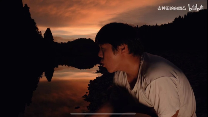  图源：B站「爱种田的向凹凸」