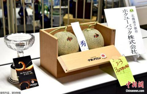 图为2022年日本北海道札幌市首场“夕张蜜瓜”竞拍中拍出最高价的一组蜜瓜。