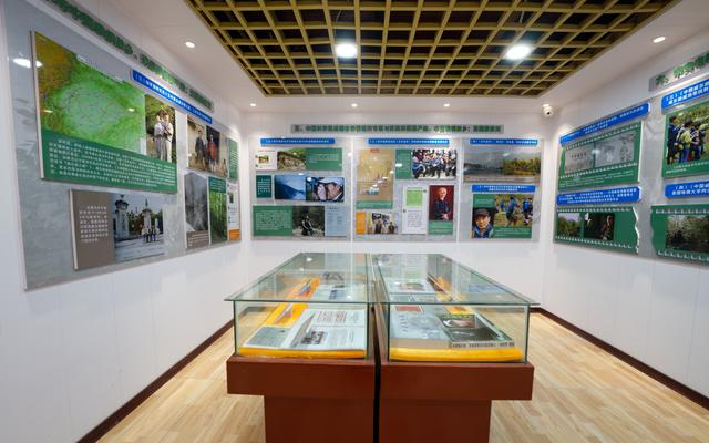 欧美珙桐原产地乐园博物馆陈列。受访者供图