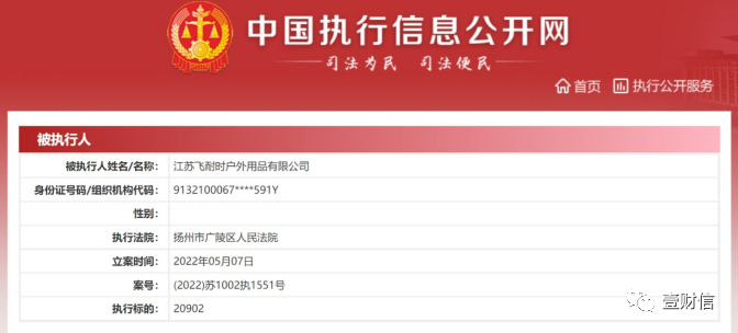 （截图来自中国执行信息公开网）