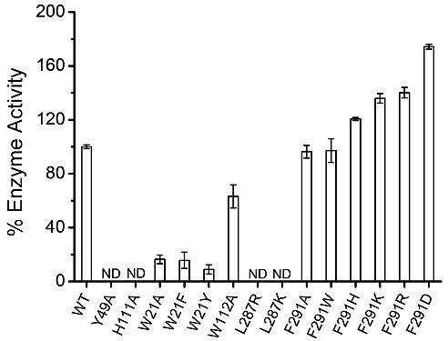 AKR4C17突变体降解草甘膦活性分析。戴隆海供图