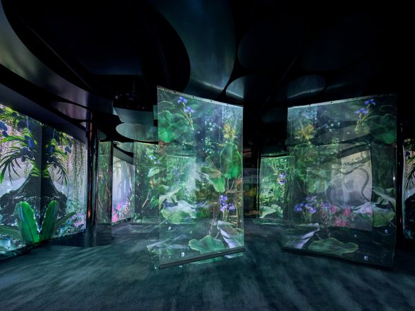 （小仙炖鲜炖燕窝旗舰店打造沉浸式热带雨林体验区）