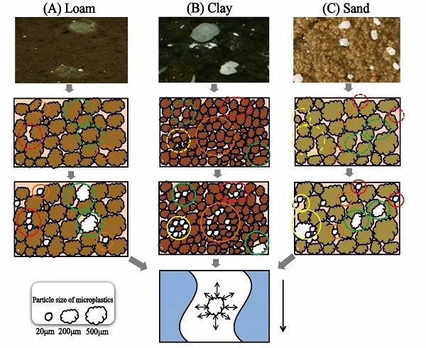 图2.微塑料颗粒影响土壤水力特征的潜在作用机制
