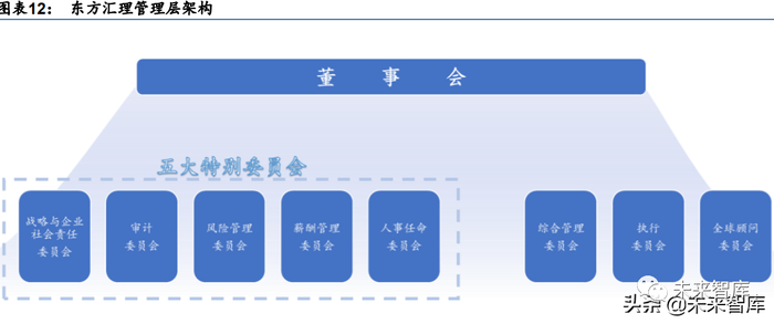 资金来源：外延并购拓宽来源，扩张零售和新兴市场