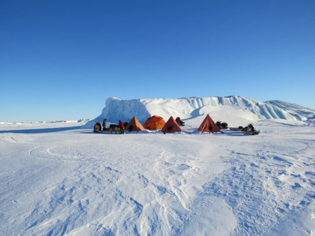 马塞拉·利伯特利在南极进行研究。受访者供图