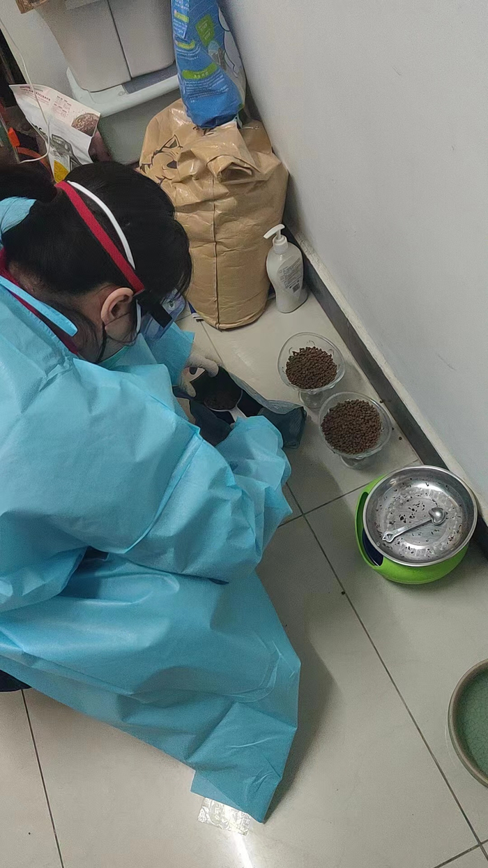 椿树馆社区，社区工作人员为居民家中宠物添粮。受访者供图