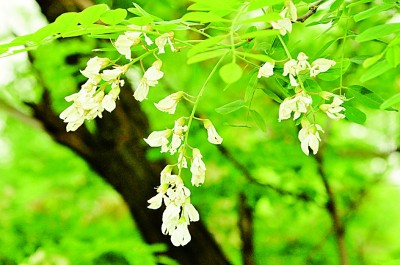 陈晔摄/光明图片