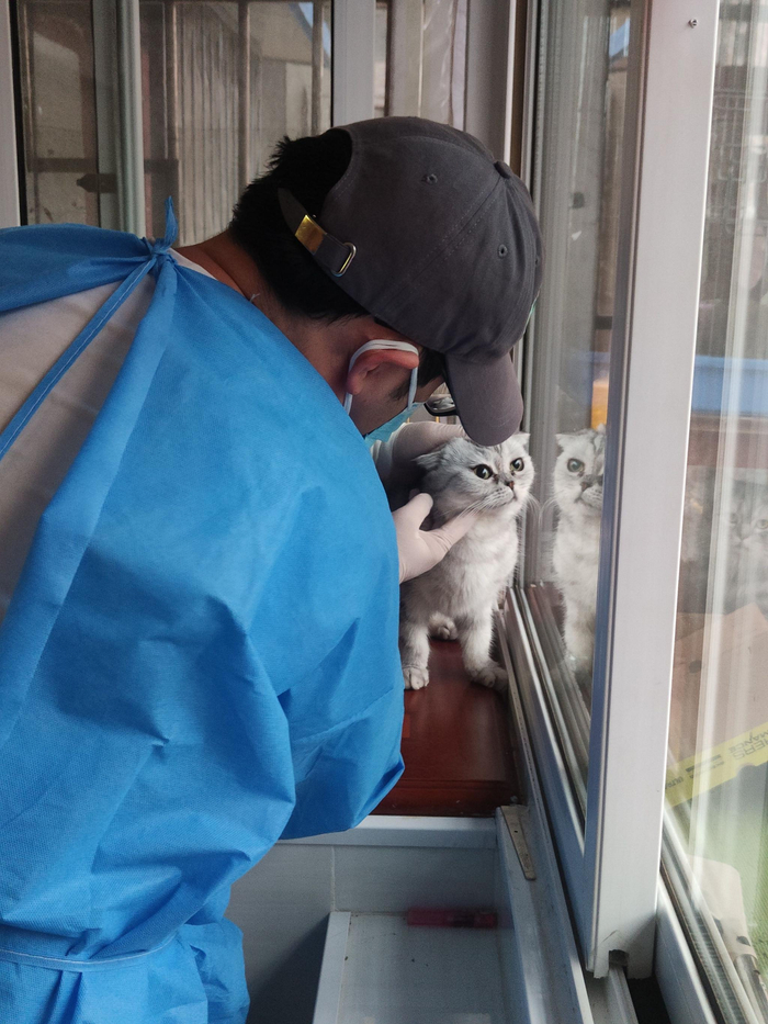 椿树馆社区，宠物医生为小动物体检。受访者供图