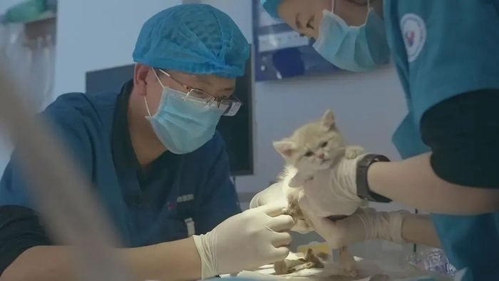 《宠物医院》剧照