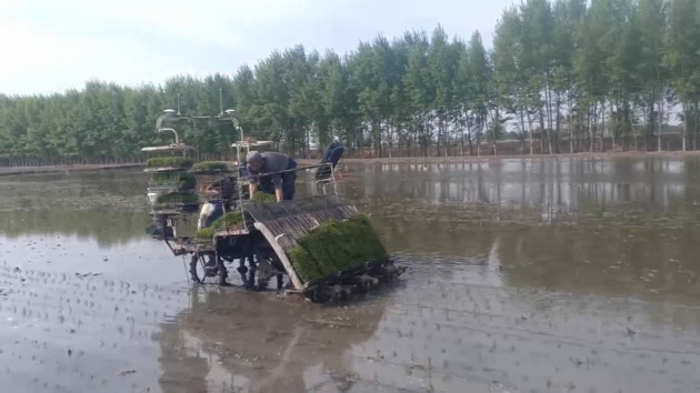 　　智能模式下加秧、操控只需一人
