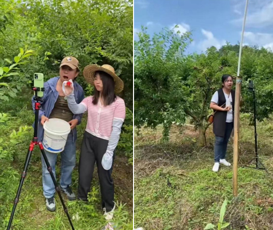 △图源 广宁发布