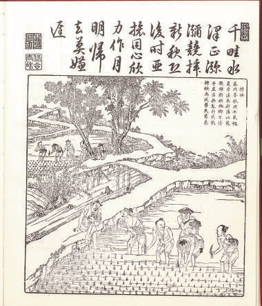 　　古画中的插秧图