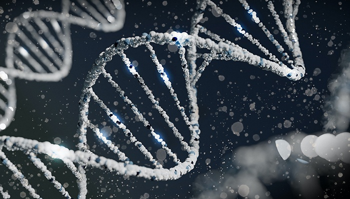 图片来源：Unsplash-Sangharsh Lohakare