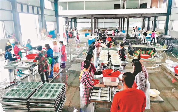     杜尔伯特大银鱼冷库加工车间。