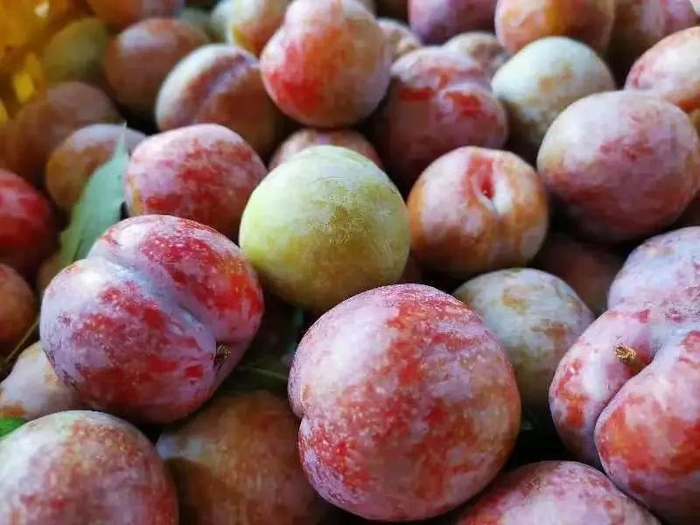 △图源 广宁发布