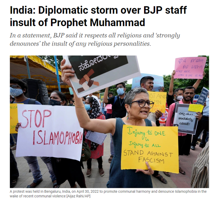 半岛电视台报道截图