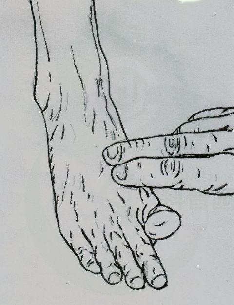 图源：作者供图