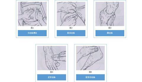 图源：作者供图