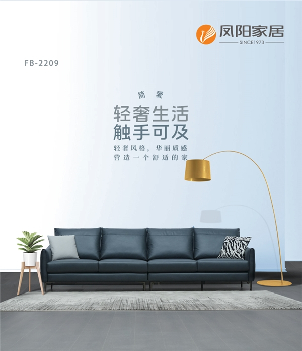 　　型号:FB-2209 简爱