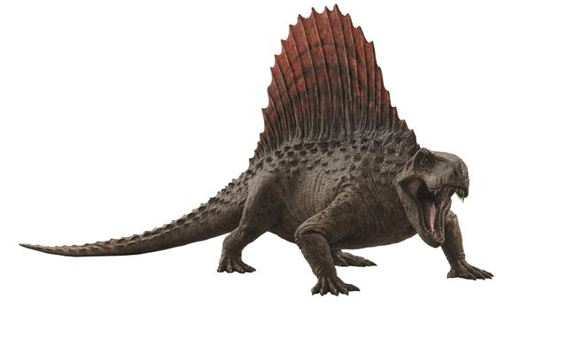 异齿龙以巨大的背帆闻名。  片方供图