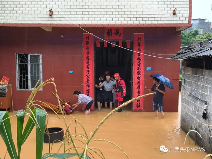 以上图片：杨鸿升 摄 