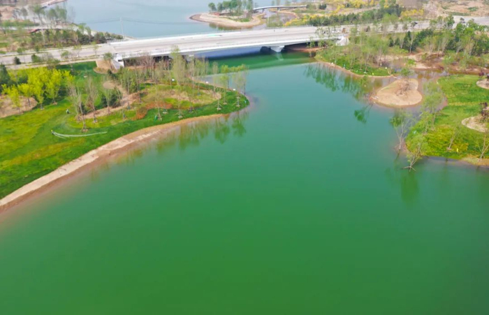 6月9日拍摄的雄安新区启动区中央绿谷及东部溪谷项目。河北日报记者史晟全摄