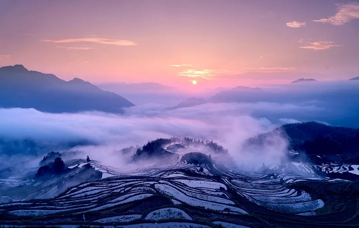 ▲云和梯田景区
