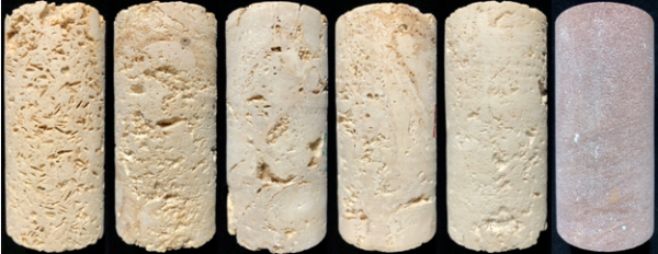 图1.珊瑚礁灰岩及砂岩测试样品