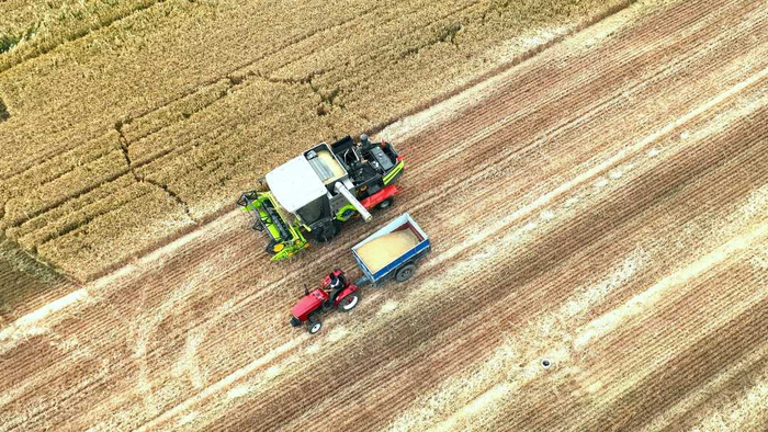 河北省邢台市任泽区小东吴村的一处麦田正在收割小麦。刘云洲摄