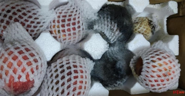 图片来源：红星新闻