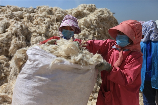 　　东黎羊绒向当地牧民收购羊绒