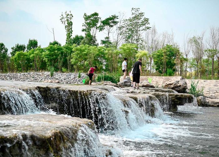 邯郸市复兴区沁河郊野公园，流水潺潺、绿树成荫，市民漫步其中，感受别样的夏天味道。　周绍宗摄