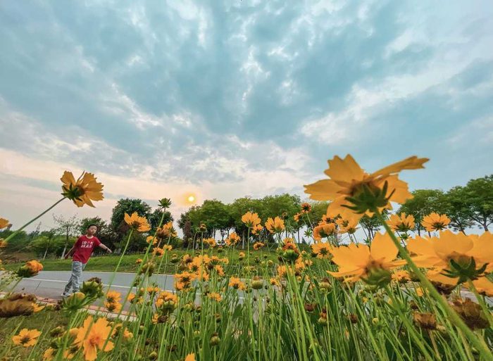 邯郸市复兴区康湖生态园，景色秀丽，吸引市民前往游玩。周绍宗摄
