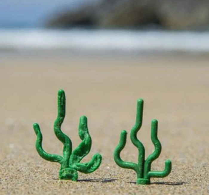 图片来源：bbc@TRACEY WILLIAMS