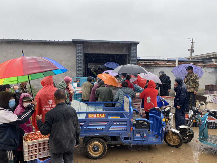 在暴建飞的冷储库门口，冒雨等待出售大樱桃裂果的种植户们。姚一铭摄