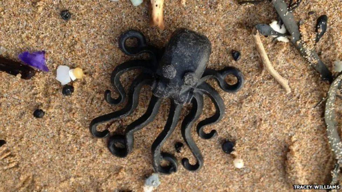 图片来源：bbc@TRACEY WILLIAMS