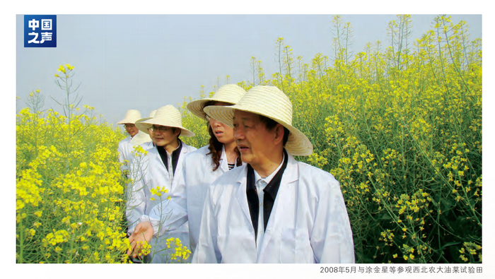 △2008年，傅廷栋在西北农大油菜试验田。