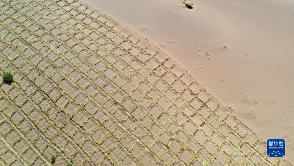 这是武威市凉州区邓马营湖治沙区域部分铺设完草方格沙障的沙漠（6月16日摄，无人机照片）。新华社记者 陈斌 摄