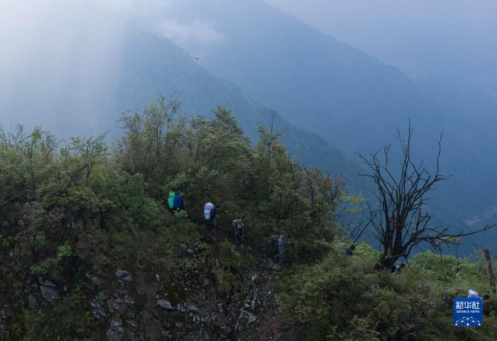 大熊猫国家公园彭州管护总站的巡护员在巡山途中（6月4日摄，无人机照片）。新华社记者 江宏景 摄