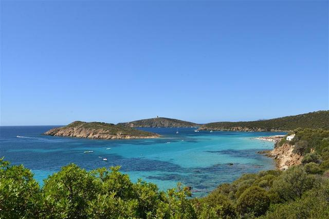 图片来源：新华网