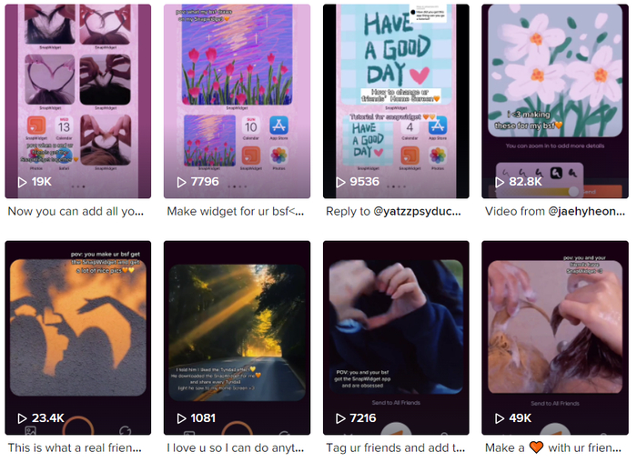 图源：SnapWidget的TikTok官方账号